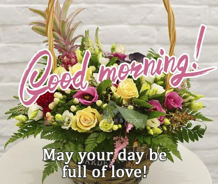 Que seu dia seja cheio de carinho!  Bom dia!