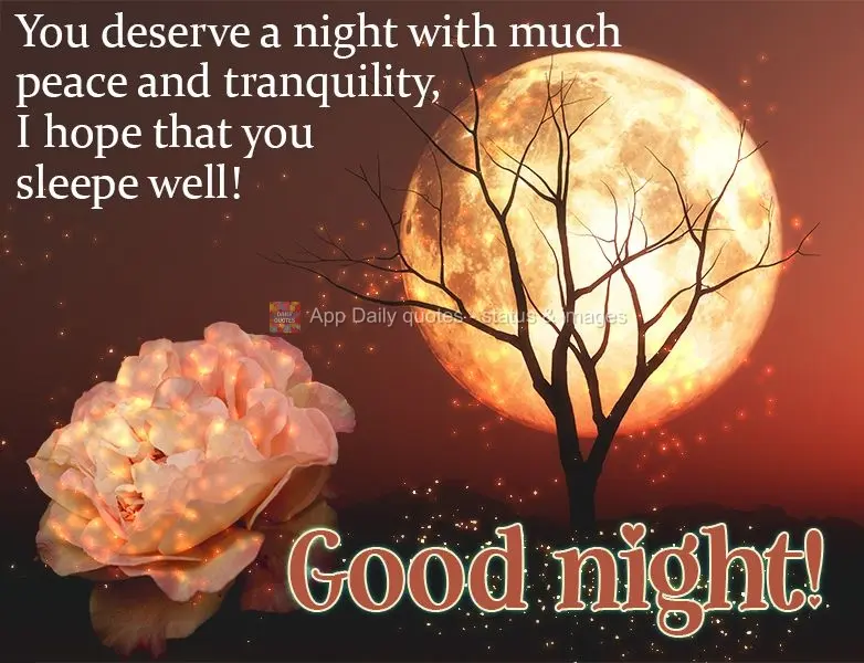 Você merece uma noite de muita paz e tranquilidade, espero que durma bem!  Boa noite!