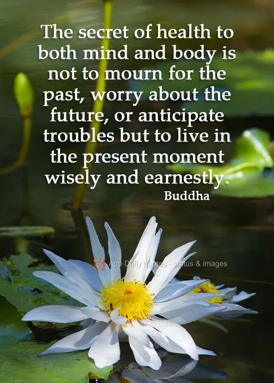 O segredo da saúde mental e corporal está em não lamentar o passado, não se preocupar com o futuro e nem se adiantar aos problemas, mas viver sábia ...