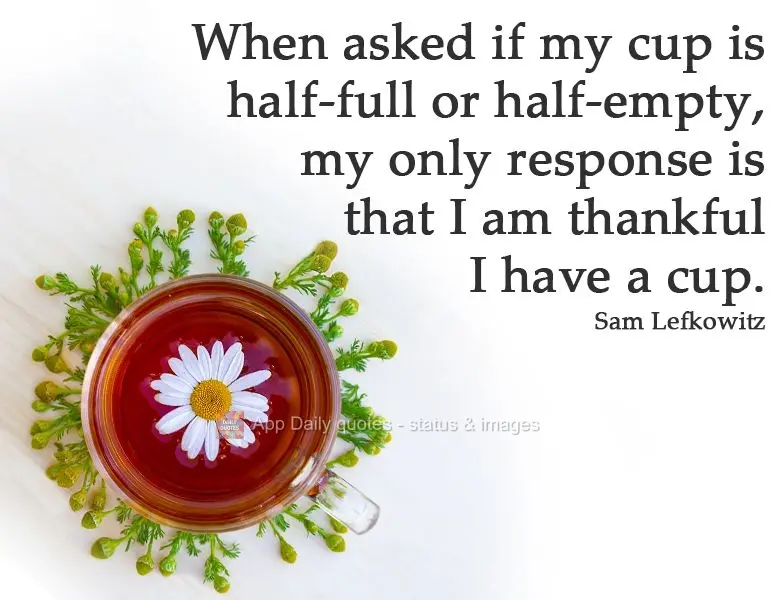 Quando sou questionado se meu copo está meio cheio ou meio vazio, minha única resposta é que estou grato por ter um copo.
  Sam Lefkowitz