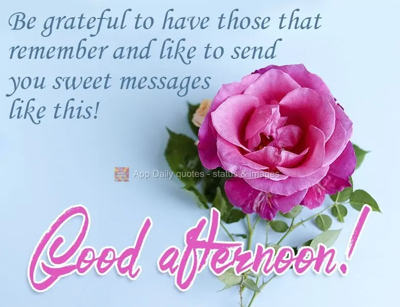 Be grateful to have those that think of you and like to send you sweet messages like this!  Good afternoon! 