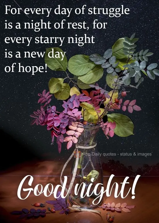 Para cada dia de luta uma noite de descanso; para cada noite estrelada um novo dia de esperança! 
 Boa noite!