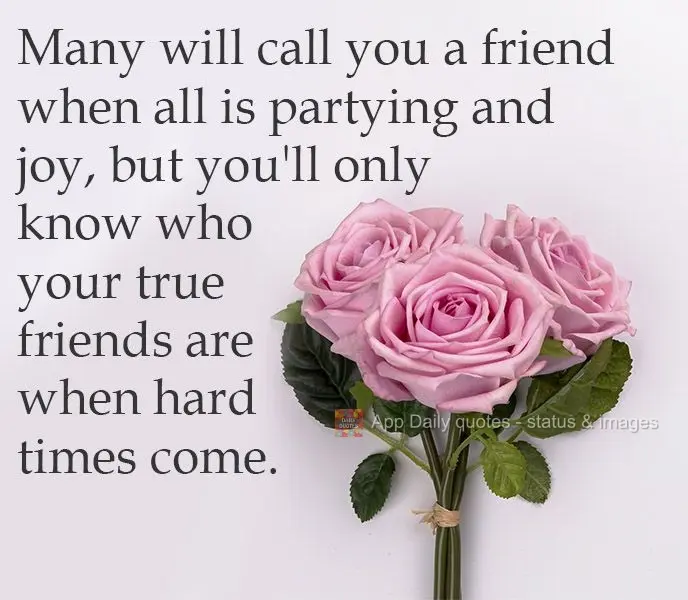 Many will call you a friend when all is partying and joyful, but you'll only know who your true friends are when hard times come. 