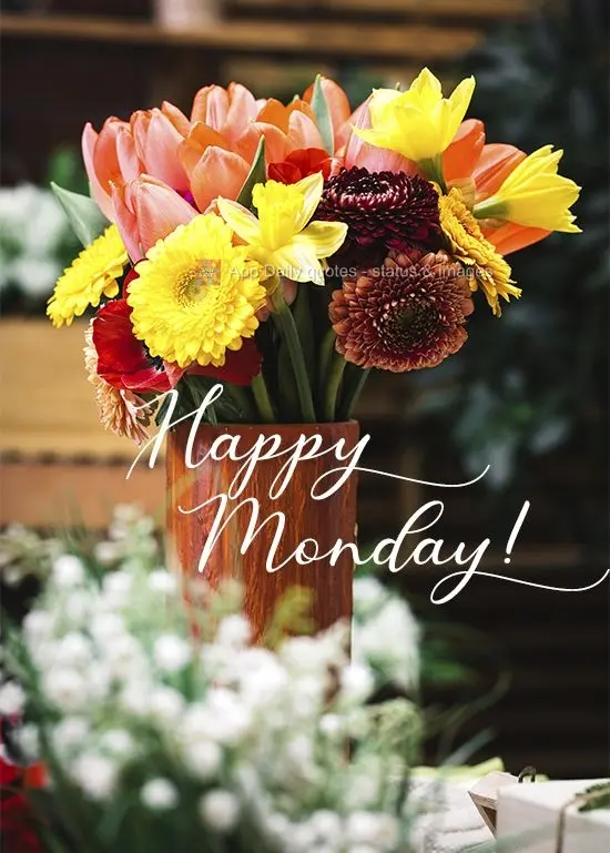 Feliz Segunda-feira!
