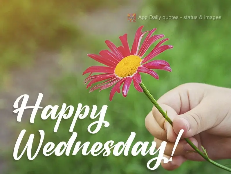 Happy Wednesday! 