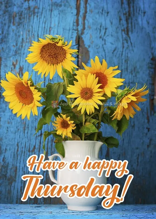 Have a happy Thursday! 