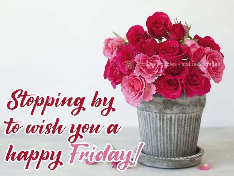 Stopping by to wish you a happy Friday! 