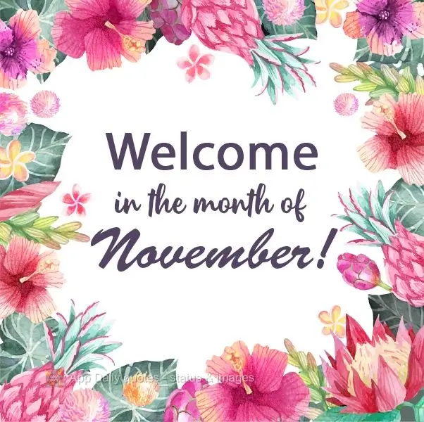 Seja Bem-vindo ao mês de Novembro!
