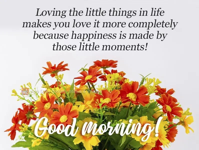 Amar as pequenas coisas da vida faz você amá-las por completo, porque felicidade é feita de pequenos momentos!
  Bom dia!