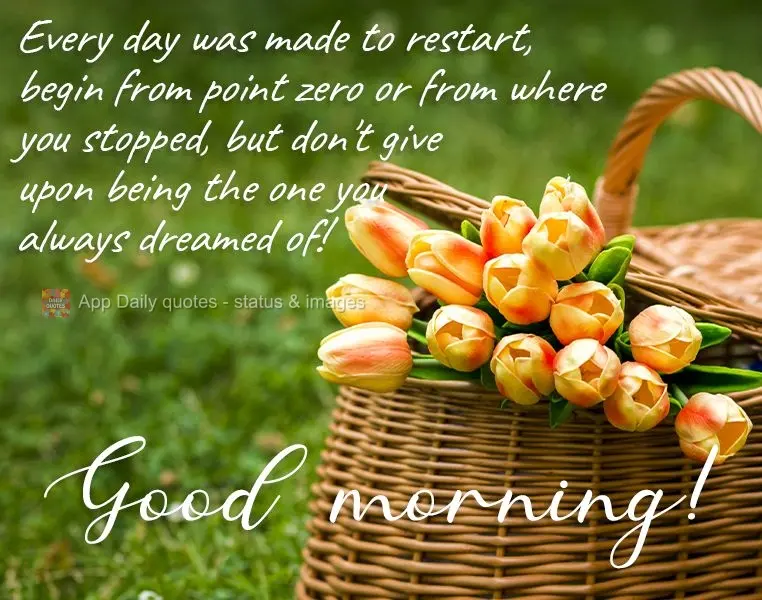 Todos os dias são para recomeçar. Comece do zero ou de onde parou, mas não desista de ser aquilo que você sempre sonhou! 
 Bom dia!