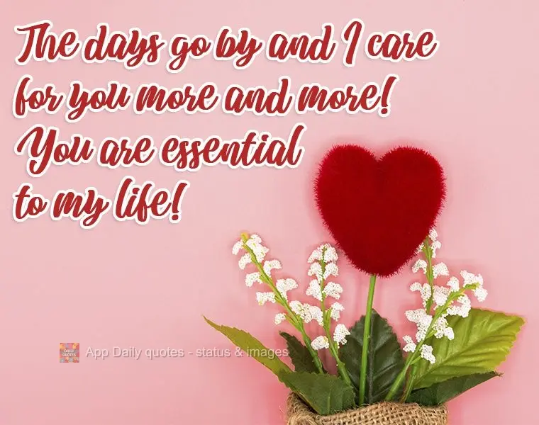 Os dias passam e meu carinho por você só aumenta! Você é essencial em minha vida!
