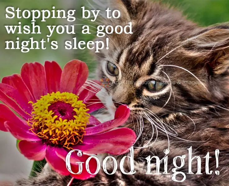 Stopping by to wish you a good night's sleep!  Good night! 