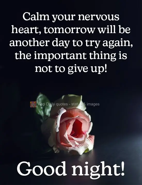 Calm your nervous heart, tomorrow will be another day to try again. The important thing is not to give up!  Good night! 
