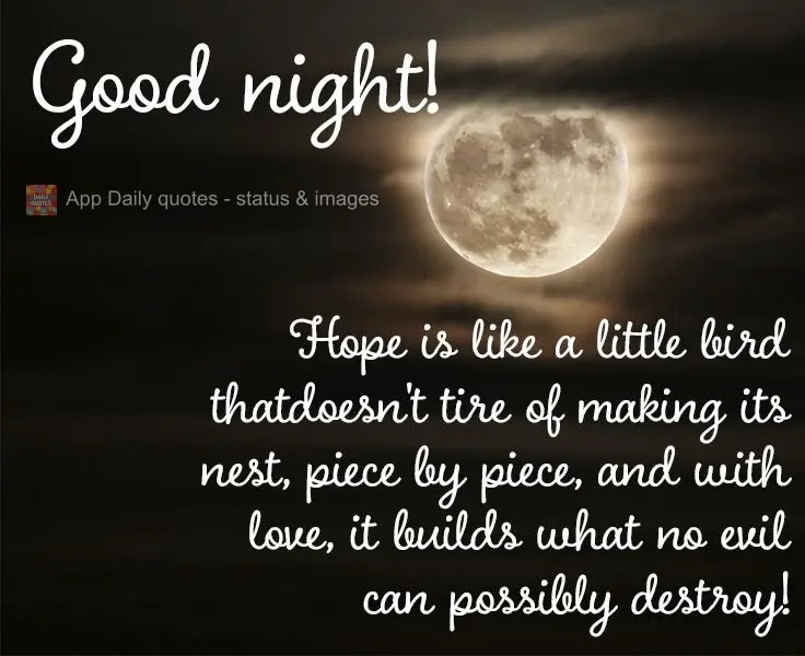 A esperança é como um passarinho que não se cansa fazendo seu ninho. Pouco a pouco e com amor ele constrói o que nenhum mau destrói! 
 Boa noite!...