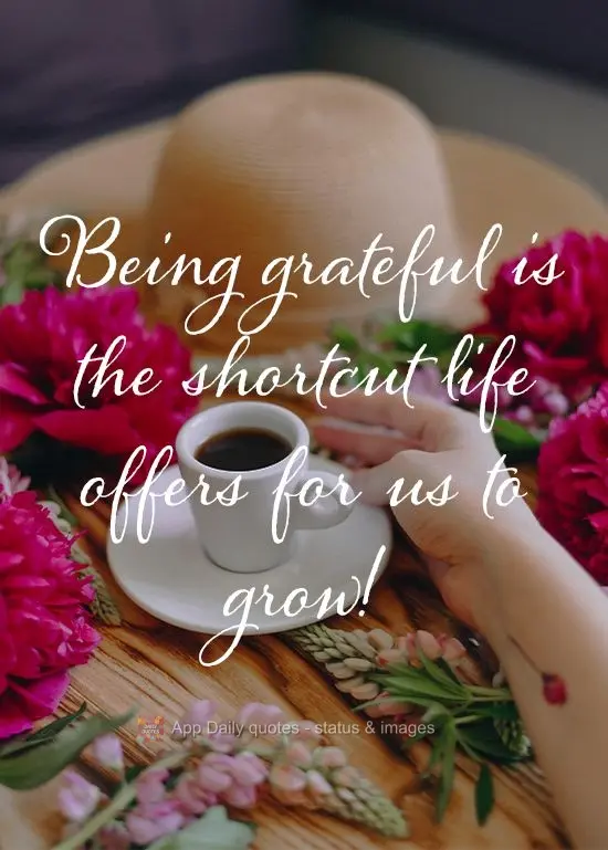 Ser grato é o atalho que a vida nos oferece para evoluir!
