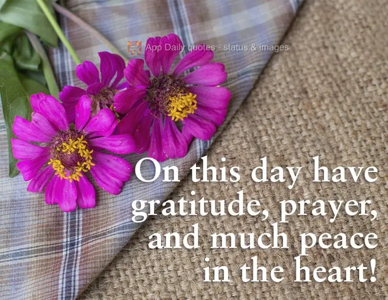 Today, be grateful, pray, and instill peace in your heart! 