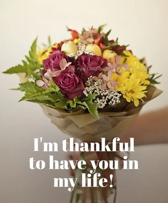 Sou grato por ter você em minha vida! 
