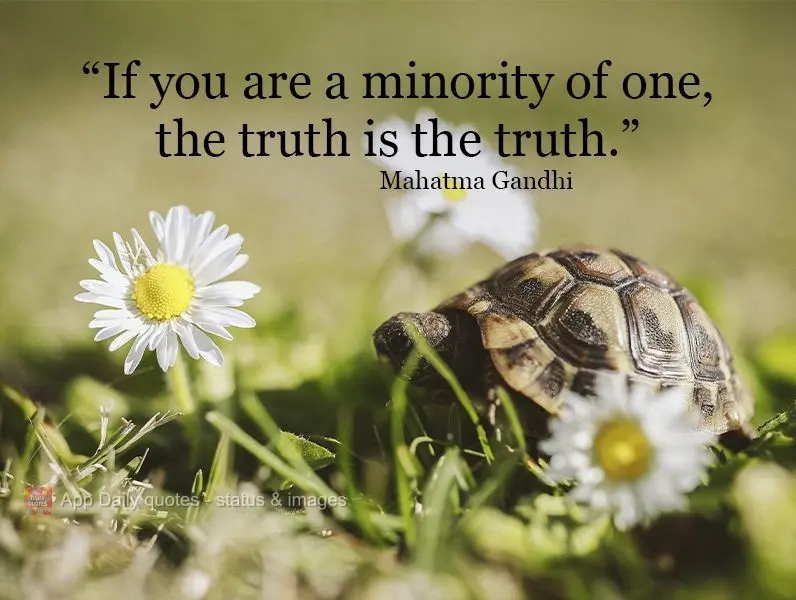 Mesmo que você ainda esteja em uma minoria, a verdade ainda é a verdade. Mahatma Gandhi