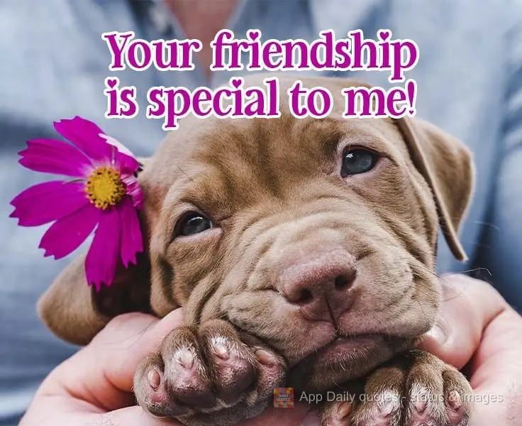 Your friendship is special to me! 