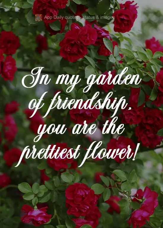 In my garden of friendship, you are the prettiest flower! 