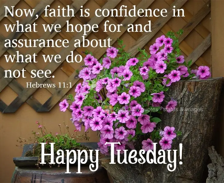 Look, faith is confidence in what we hope for and assurance for what we do not see.  Happy Tuesday!  Hebrews 11:1