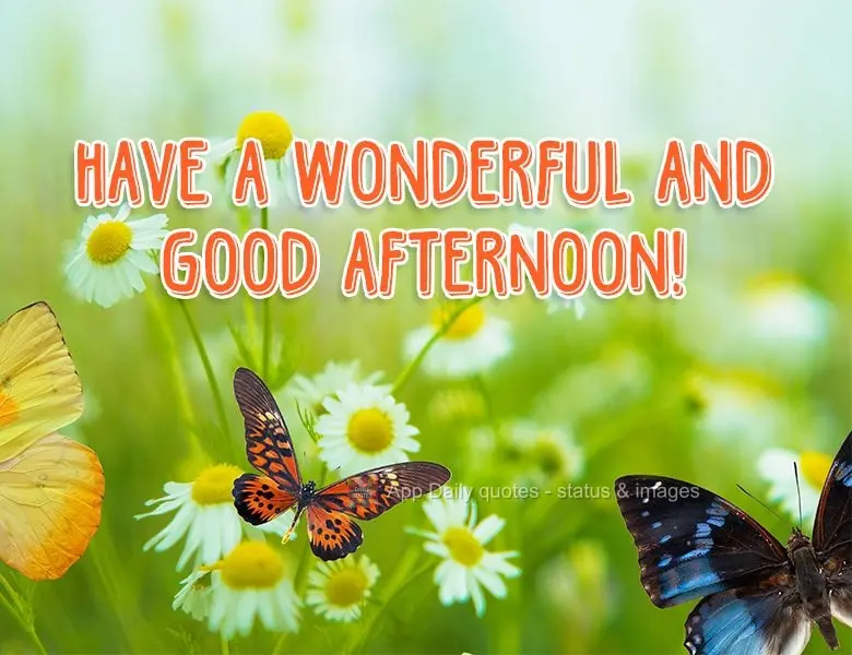 Tenha uma linda e feliz tarde!
