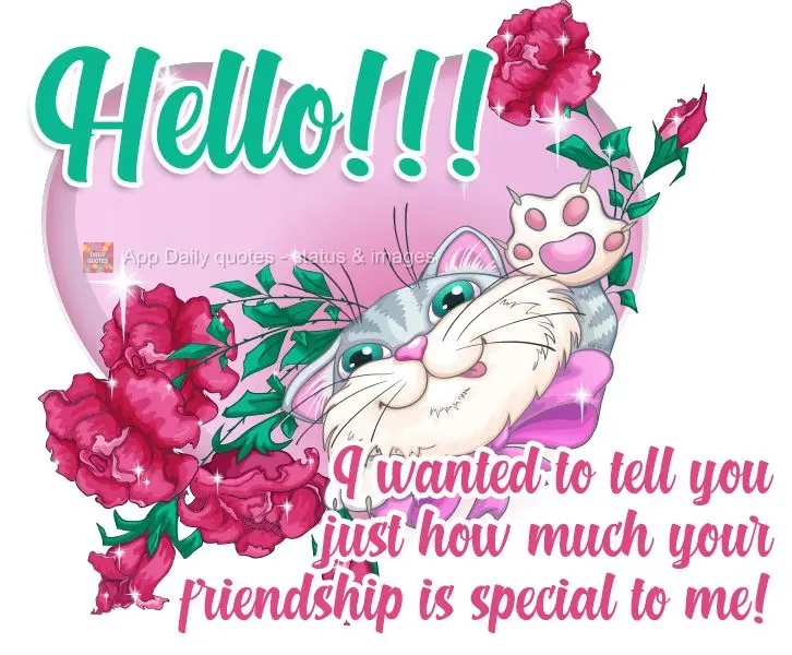 Hello!!! I wanted to tell you just how special your friendship is to me! 