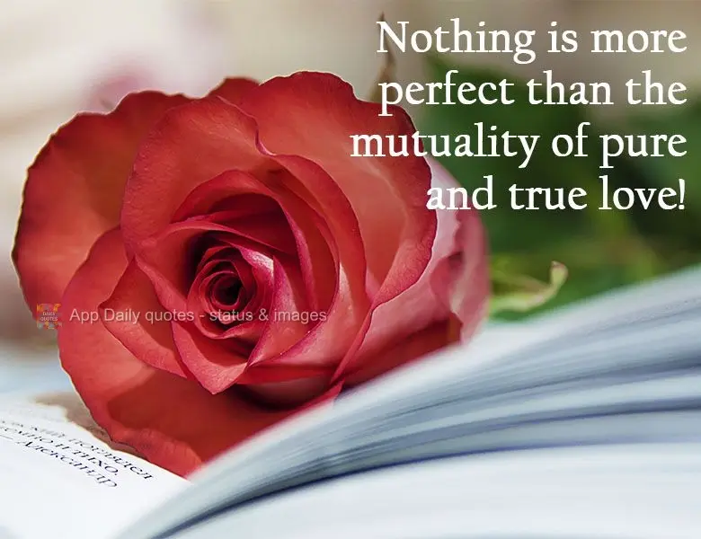 Nothing is more perfect than the mutuality of pure and true love!