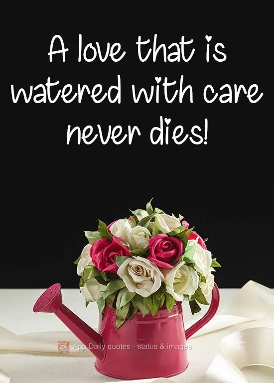 O amor que é regado com carinho nunca morre!
