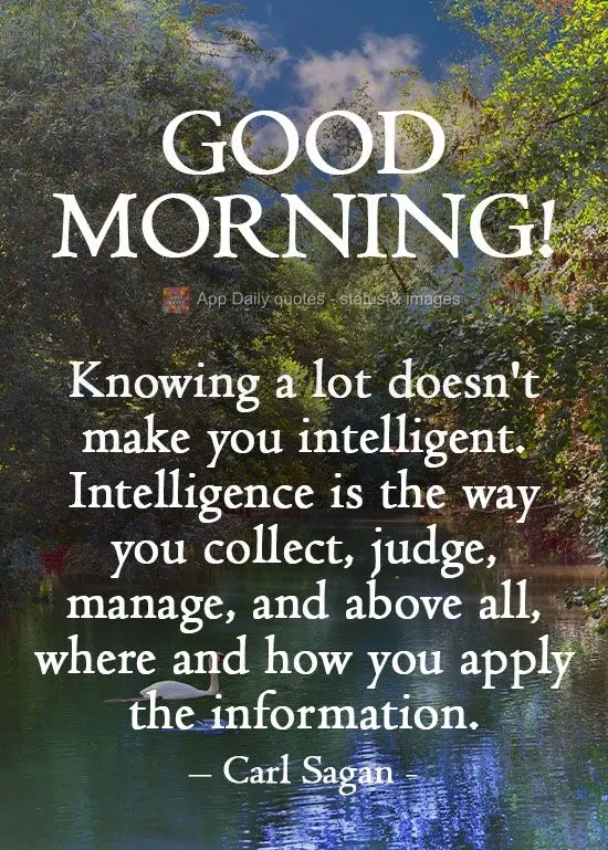 Saber muito não lhe torna inteligente. A inteligência se traduz na forma que você escolhe, julga, maneja e, sobretudo, onde e como aplica esta informa...