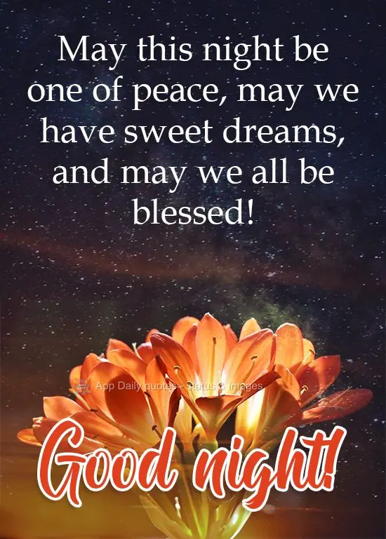 Que esta noite seja uma noite de paz, que tenhamos bons sonhos e que sejamos abençoados!  Boa noite!