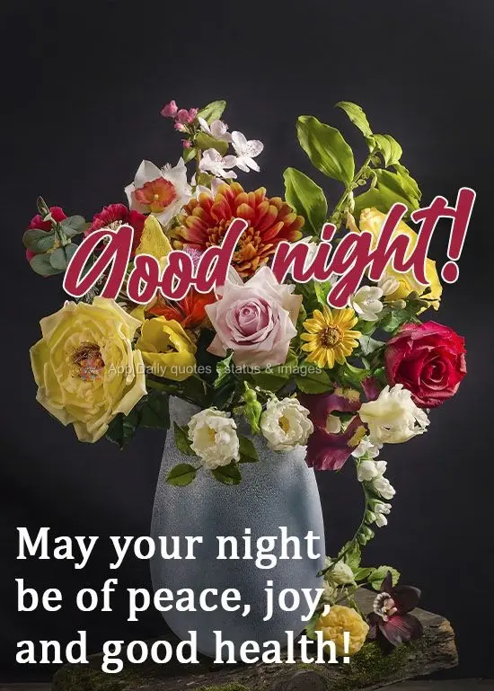 Que a noite seja de paz, alegria e saúde! 
 Boa noite! 