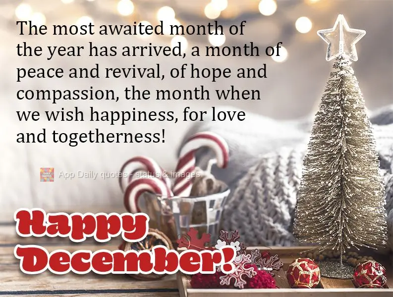 Chegou o mês mais esperado do ano... o mês de paz e renovação de esperança e compaixão, o mês que a gente deseja felicidade por amor e união!  Fe...