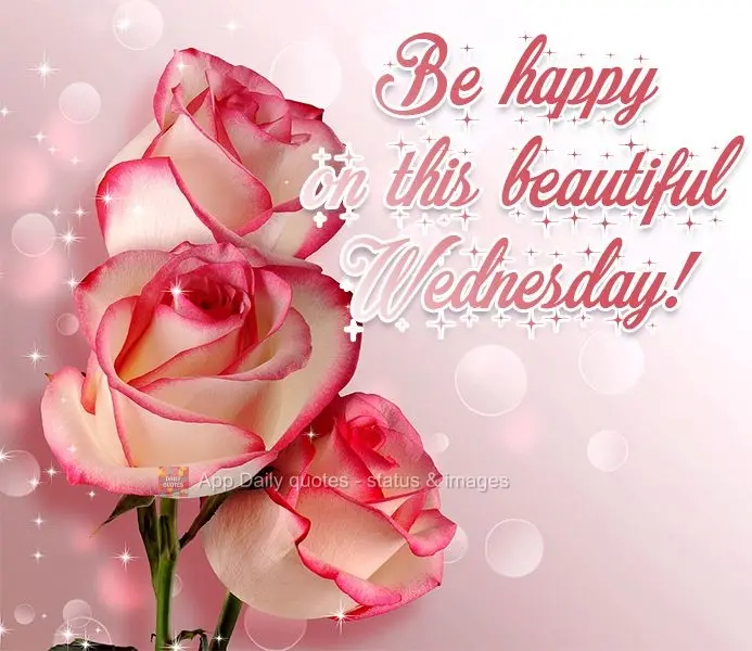 Seja feliz nesta linda Quarta-feira!