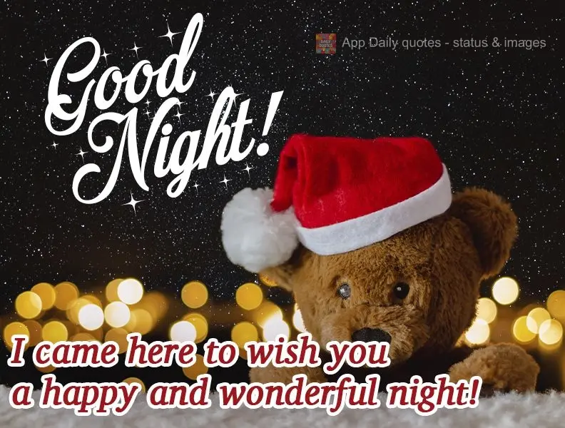 I came here to wish you a happy and wonderful night!  Good night! 