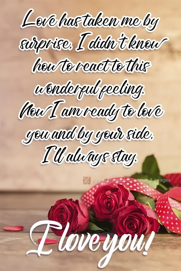 Love took me by surprise. I didn't know how to react to this wonderful feeling. Now I am ready to love you. Now I'll always be by your side!  I love you!...