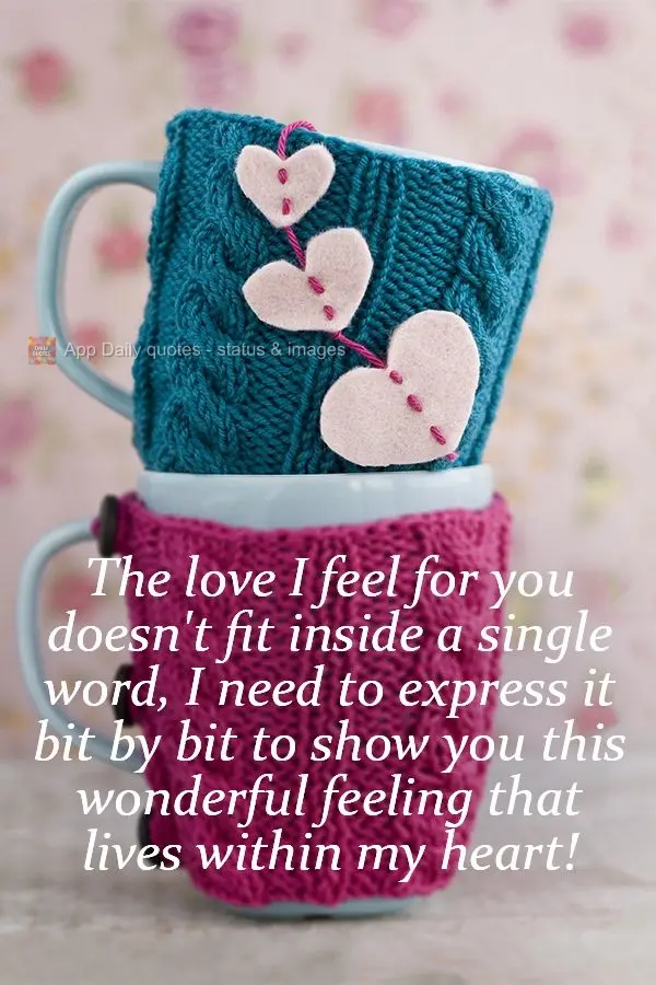 The love I feel for you doesn't fit inside a single word. I need to express it bit by bit to show you this wonderful feeling that lives within my heart! ...