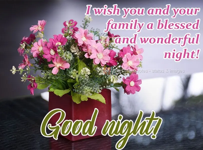 Desejo uma linda e abençoada noite a você e toda a sua família!  Boa noite!