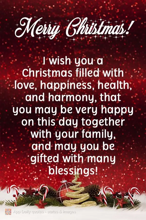 I wish you a Christmas filled with love, happiness, good health, and harmony. May you be very happy on this day together with your family, and may you be...
