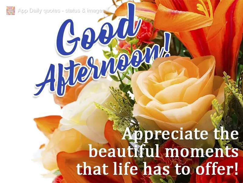 Aprecie os belos momentos que a vida tem a oferecer!  Boa tarde!