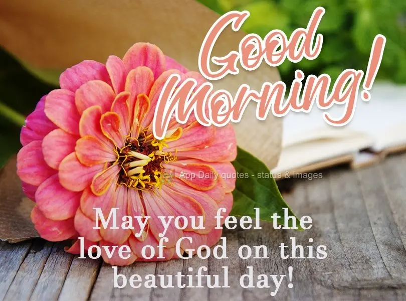 Que você sinta o amor de Deus neste lindo dia!  Bom dia!