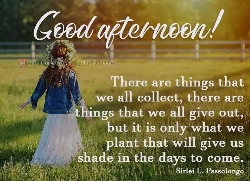 There are things that we all collect, there are things that we all give out, but it is only what we plant that will give us shade on the days to come.  G...