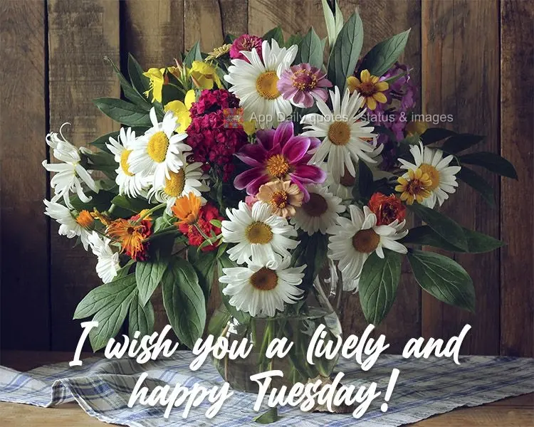 Desejo uma Terça-feira intensa e feliz!