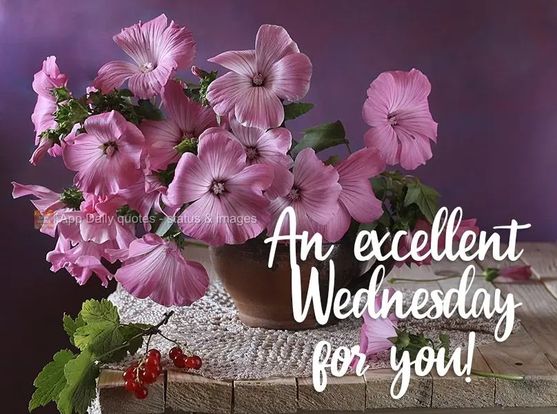 Excelente Quarta-feira pra você!