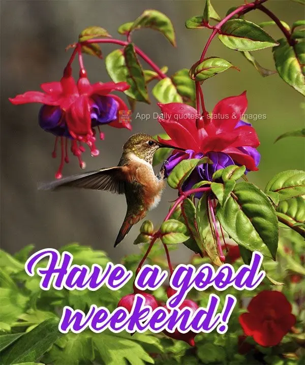 Have a good weekend! 