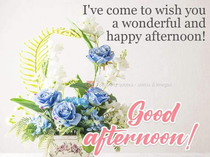I've come to wish you a wonderful and happy afternoon! Good afternoon! 