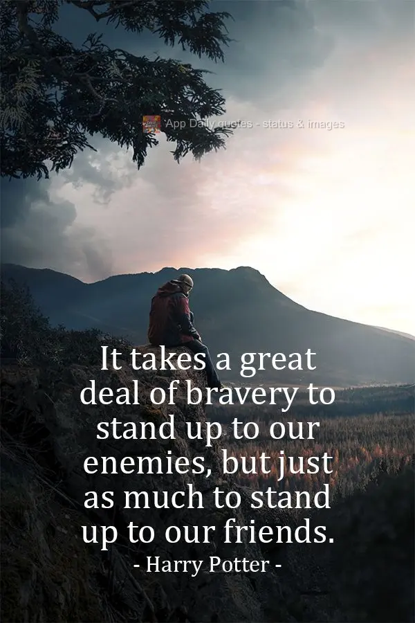 It takes a great deal of bravery to stand up to our enemies, but just as much to stand up to our friends.  Harry Potter