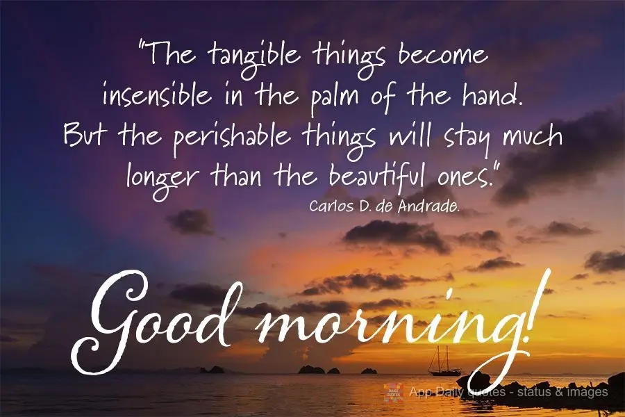 “As coisas tangíveis tornam-se insensíveis à palma da mão. Mas as coisas findas, muito mais que lindas, essas ficarão.”  Bom dia!  Carlos Drummo...