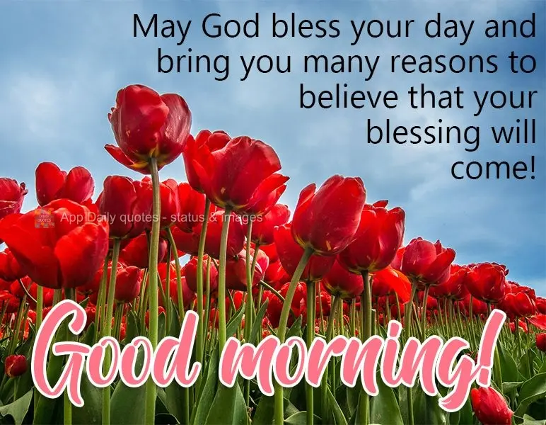 Que Deus abençoe o seu dia, e que lhe traga muitas razões para acreditar que sua bênção vai chegar! Bom dia! 