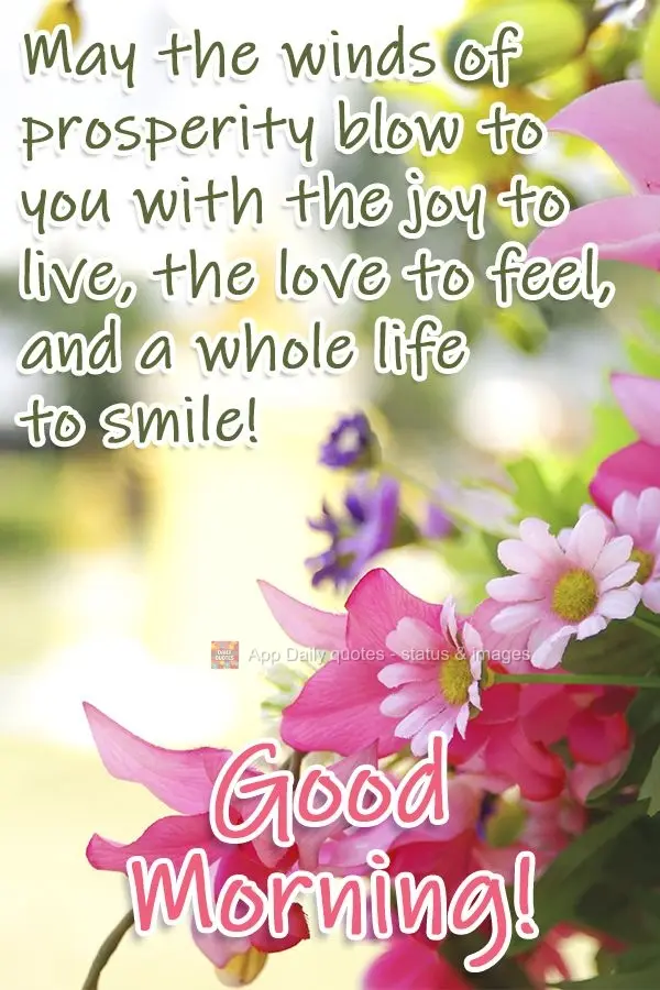 Que os ventos da prosperidade levem até você a alegria de se viver, o amor a se sentir e uma vida inteira para sorrir! Bom dia! 